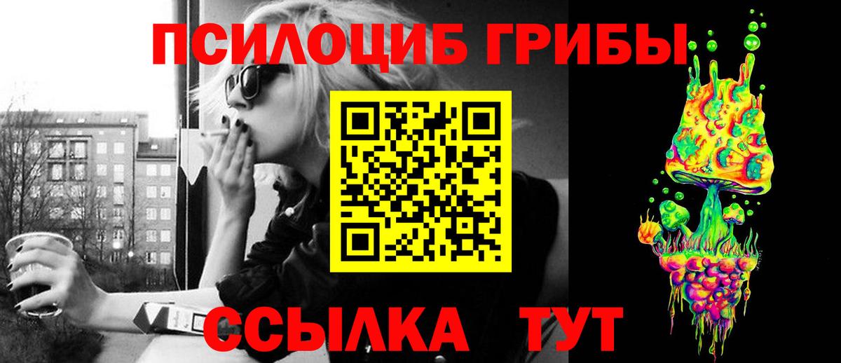 Киселёвск  Псилоцибиновые грибы прущие грибы  Вход с VPN  наркотики  Галлюциногенные грибы мухоморы 