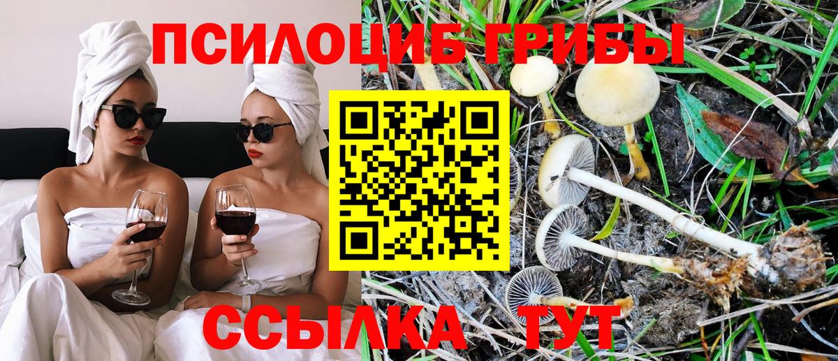 Псилоцибиновые грибы MAGIC MUSHROOMS Киселёвск